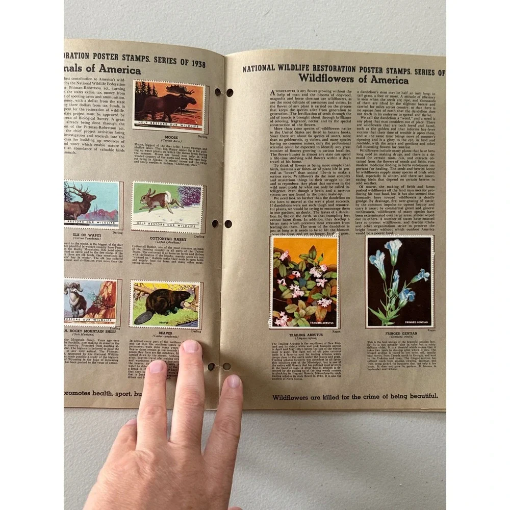 National Wildlife Restoration Poster Stamp Album 1938 1939 Complete